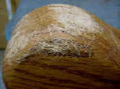 Table leg before closeup.